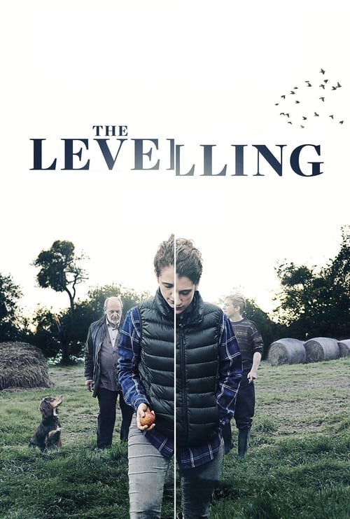 Poster for The Levelling