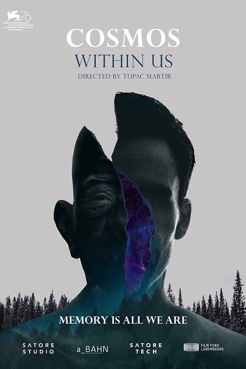 Poster for Cosmos Within Us