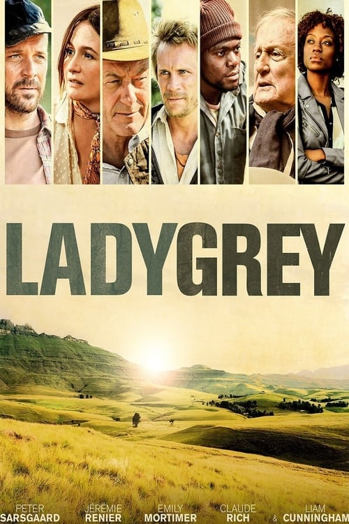 Poster for Ladygrey