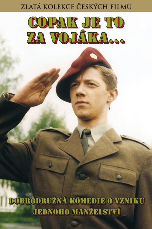 Poster for Copak je to za vojáka...