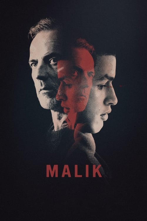 Poster for Malik