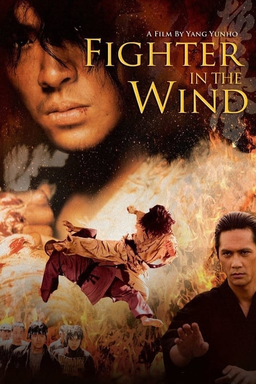 Poster for Fighter in the Wind