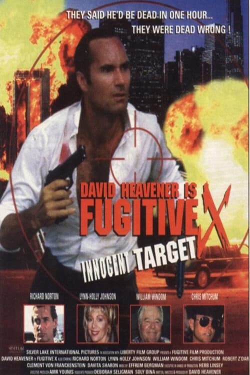 Poster for Fugitive X: Innocent Target
