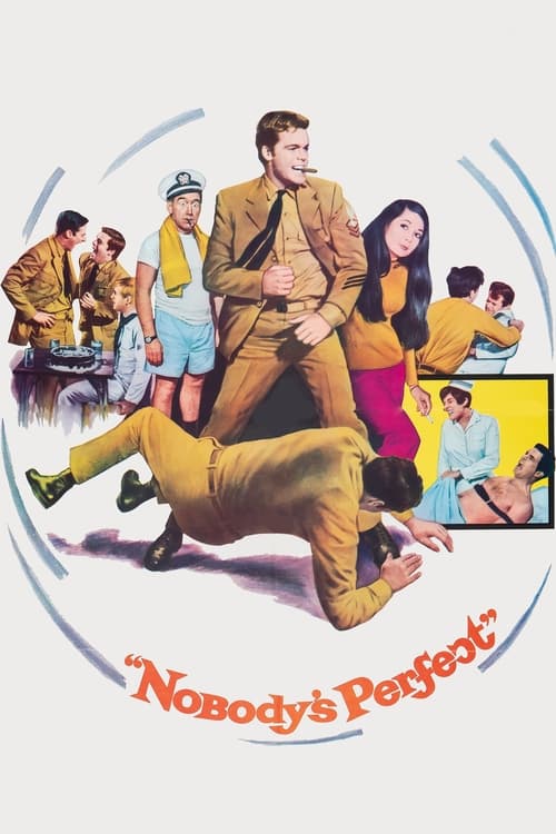 Poster for Nobody's Perfect