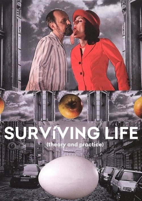 Poster for Surviving Life (Theory and Practice)
