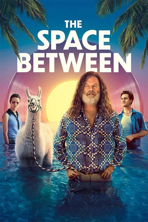 Poster for The Space Between