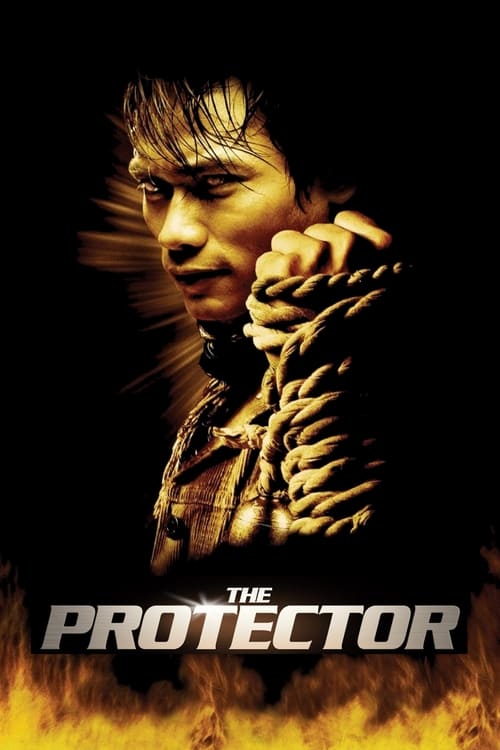 Poster for The Protector