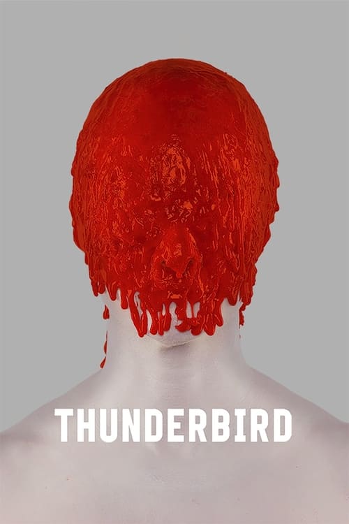 Poster for Thunderbird