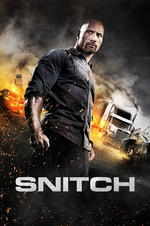 Poster for Snitch