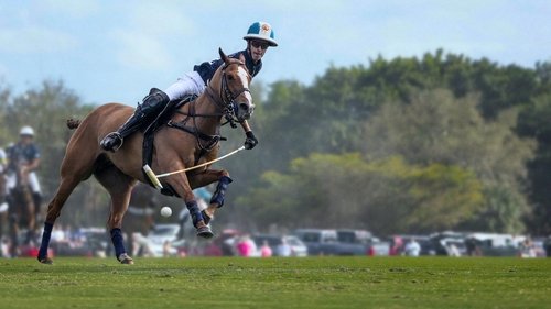 Polo scene 3