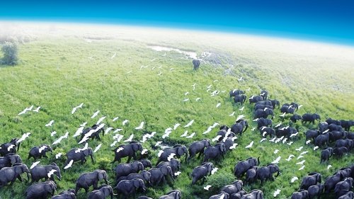 Planet Earth scene 4