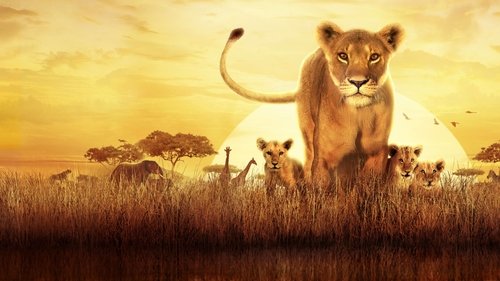 Serengeti scene 1