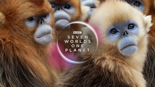 Seven Worlds, One Planet scene 7