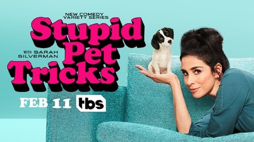 Stupid Pet Tricks scene 2