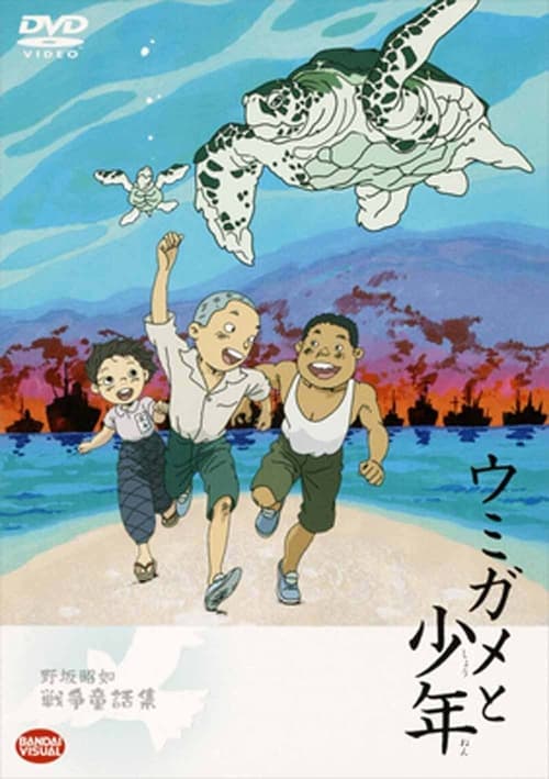Poster for The Boy and the Sea Turtle