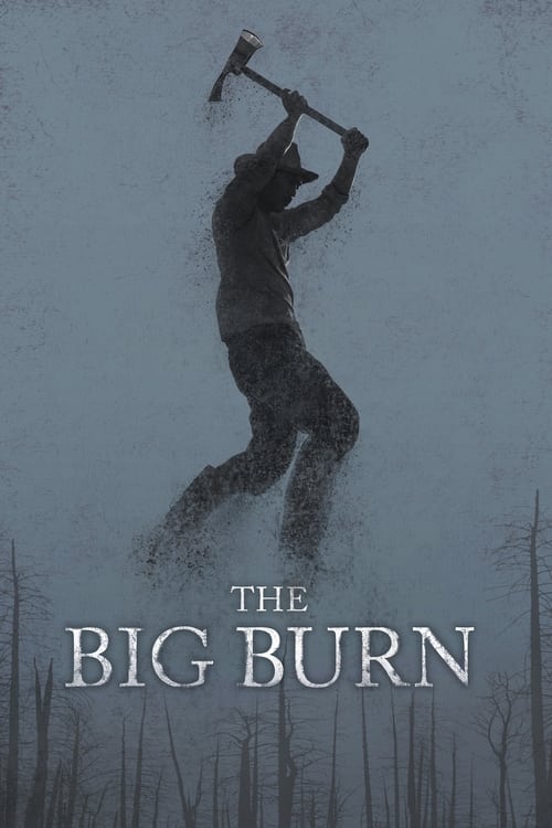 Poster for The Big Burn