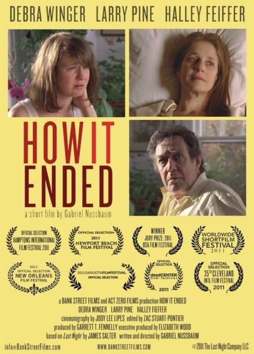 Poster for How It Ended