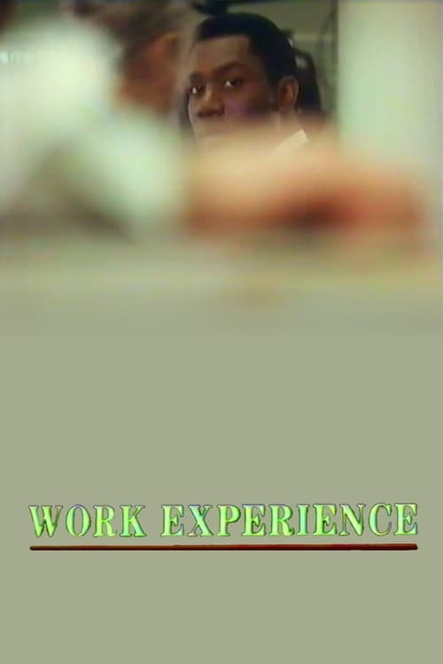 Poster for Work Experience