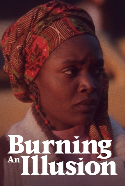 Poster for Burning an Illusion