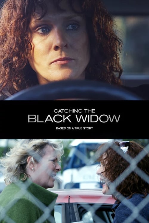 Poster for Catching the Black Widow