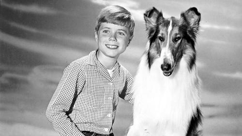 Lassie scene 1