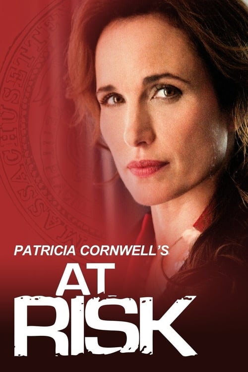 Poster for At Risk