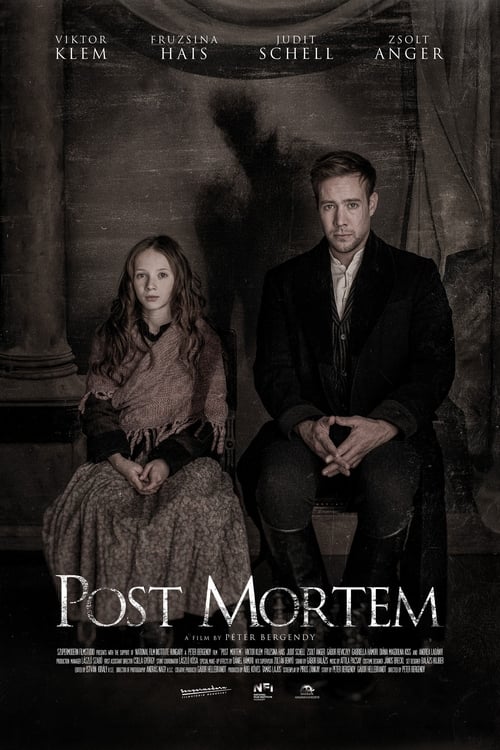 Poster for Post Mortem