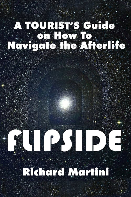 Poster for Flipside: A Journey Into the Afterlife