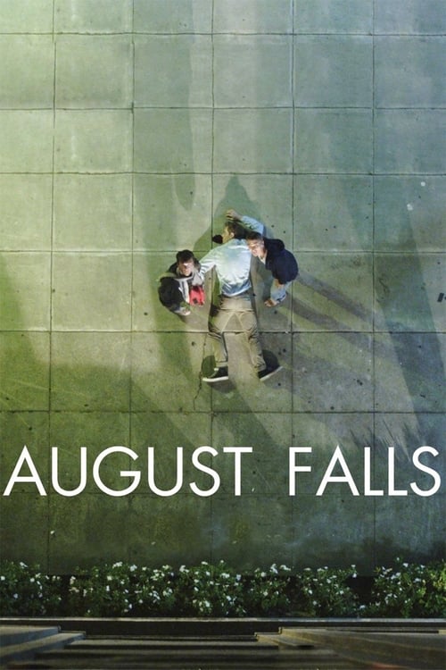 Poster for August Falls