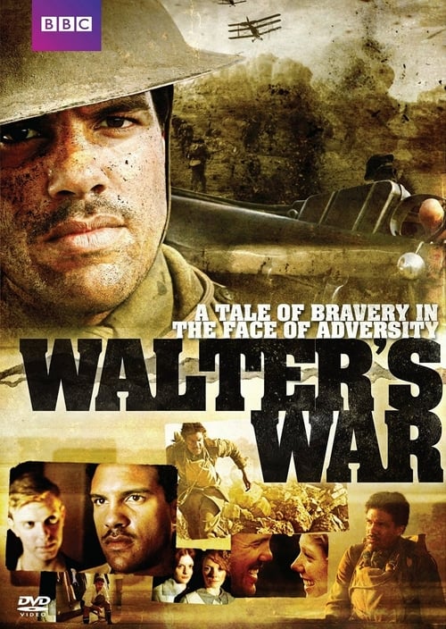 Poster for Walter's War
