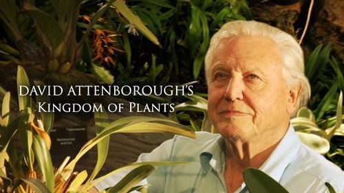 Kingdom of Plants scene 4