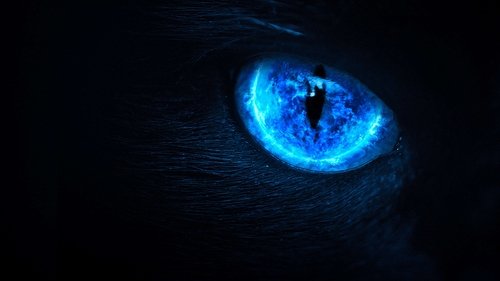 Eli Roth Presents: My Possessed Pet scene 2