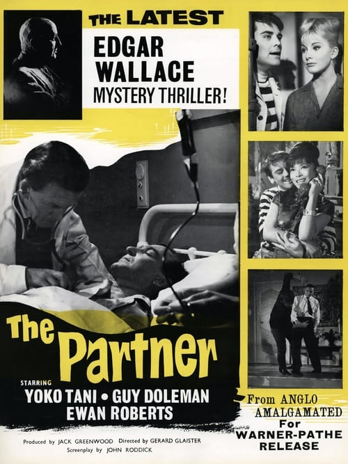 Poster for The Partner