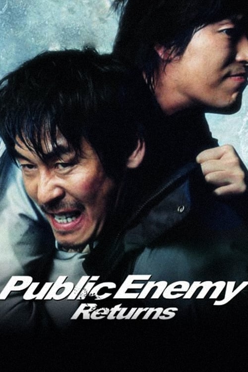 Poster for Public Enemy Returns