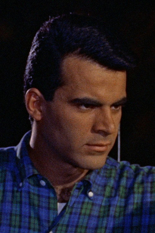 Robert Fields