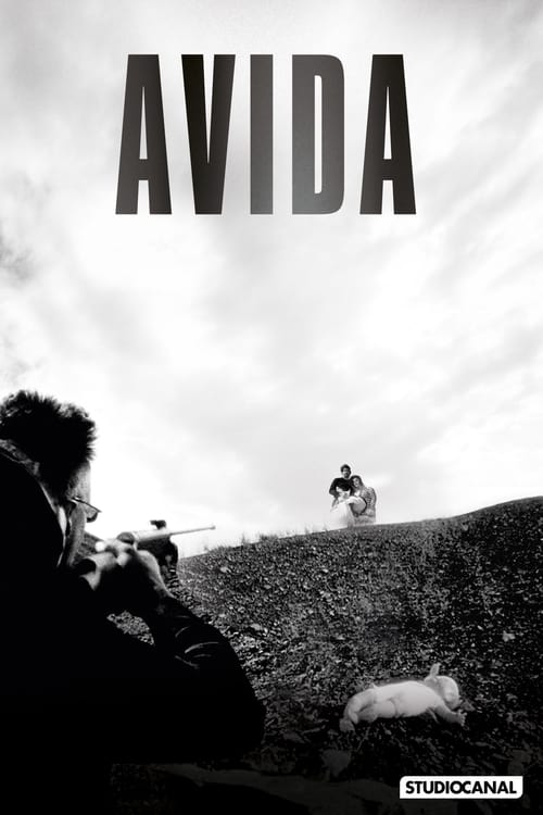 Poster for Avida