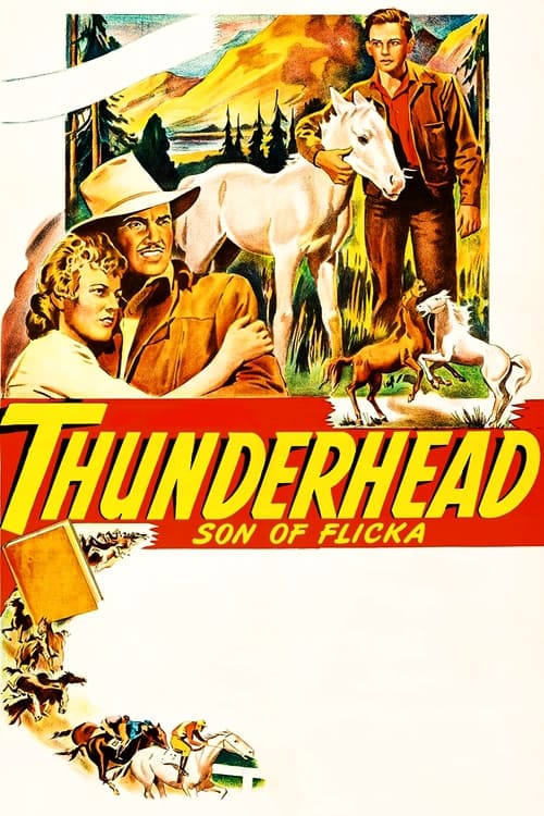Poster for Thunderhead - Son of Flicka