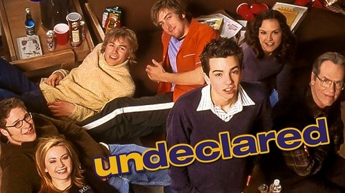 Undeclared scene 3