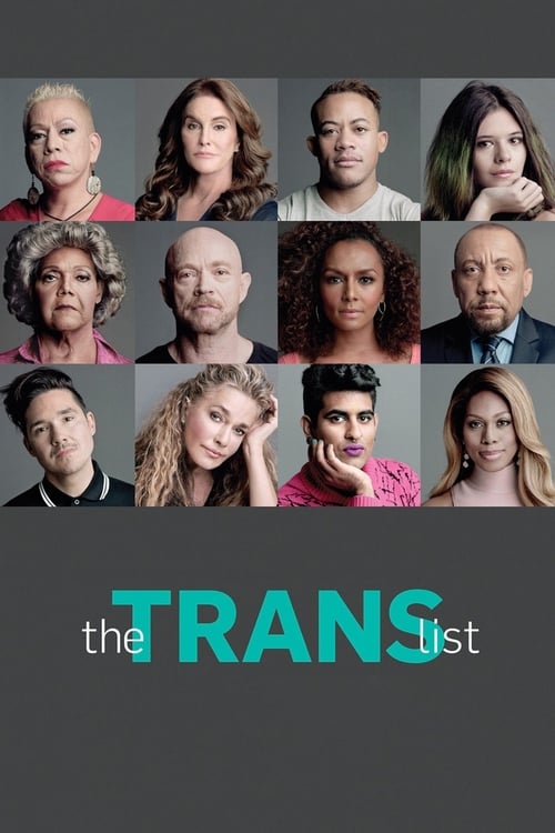 Poster for The Trans List