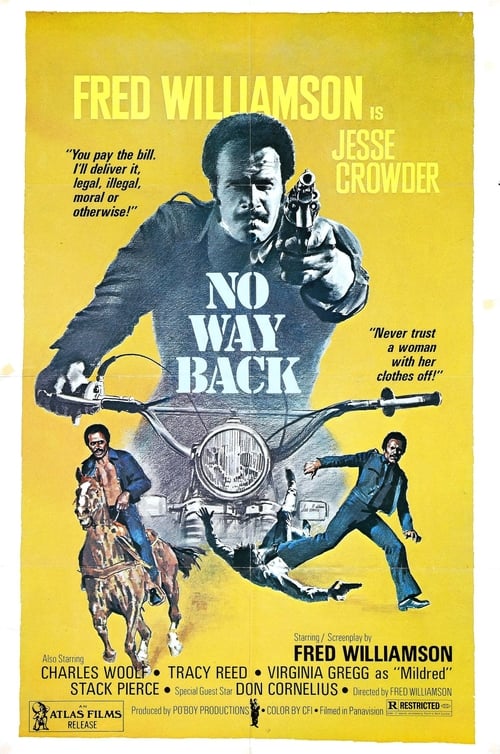 Poster for No Way Back