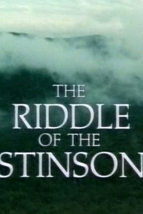 Poster for The Riddle of the Stinson