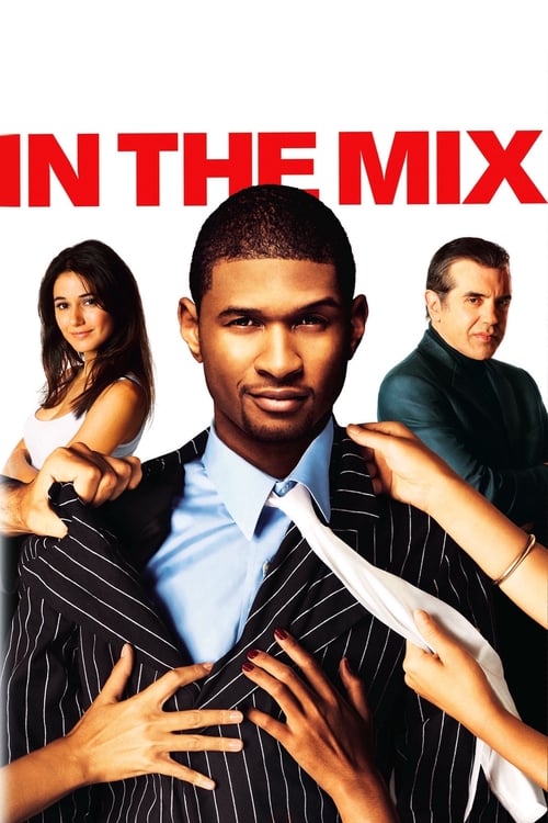 Poster for In The Mix