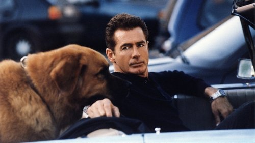 Tequila and Bonetti scene 1