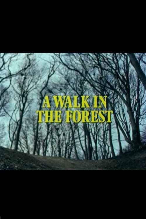 Poster for A Walk in the Forest