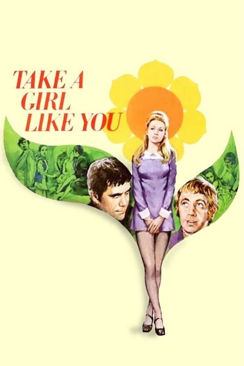 Poster for Take a Girl Like You