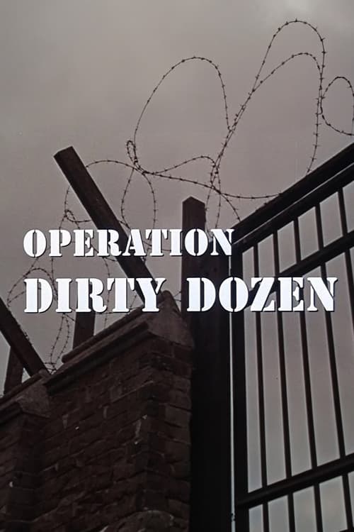 Poster for Operation Dirty Dozen