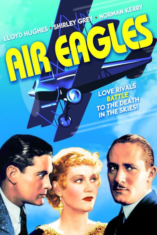 Poster for Air Eagles