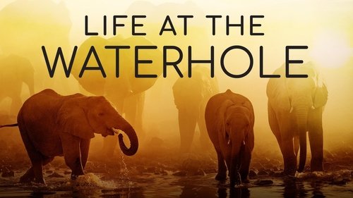 Life at the Waterhole scene 2
