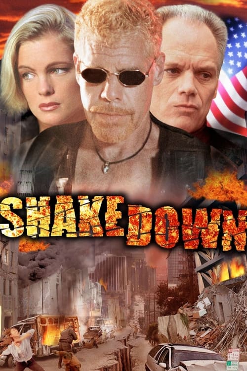 Poster for Shakedown