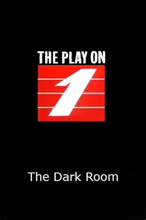 Poster for The Dark Room